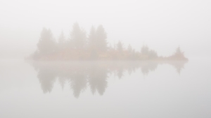 Wald im Nebel mitten in einem See.